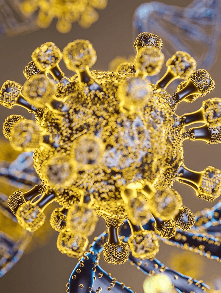 Cell Therapy Oligonucleotides