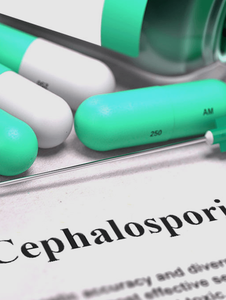 Cephalosporin