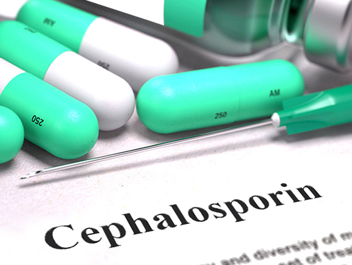 Cephalosporin